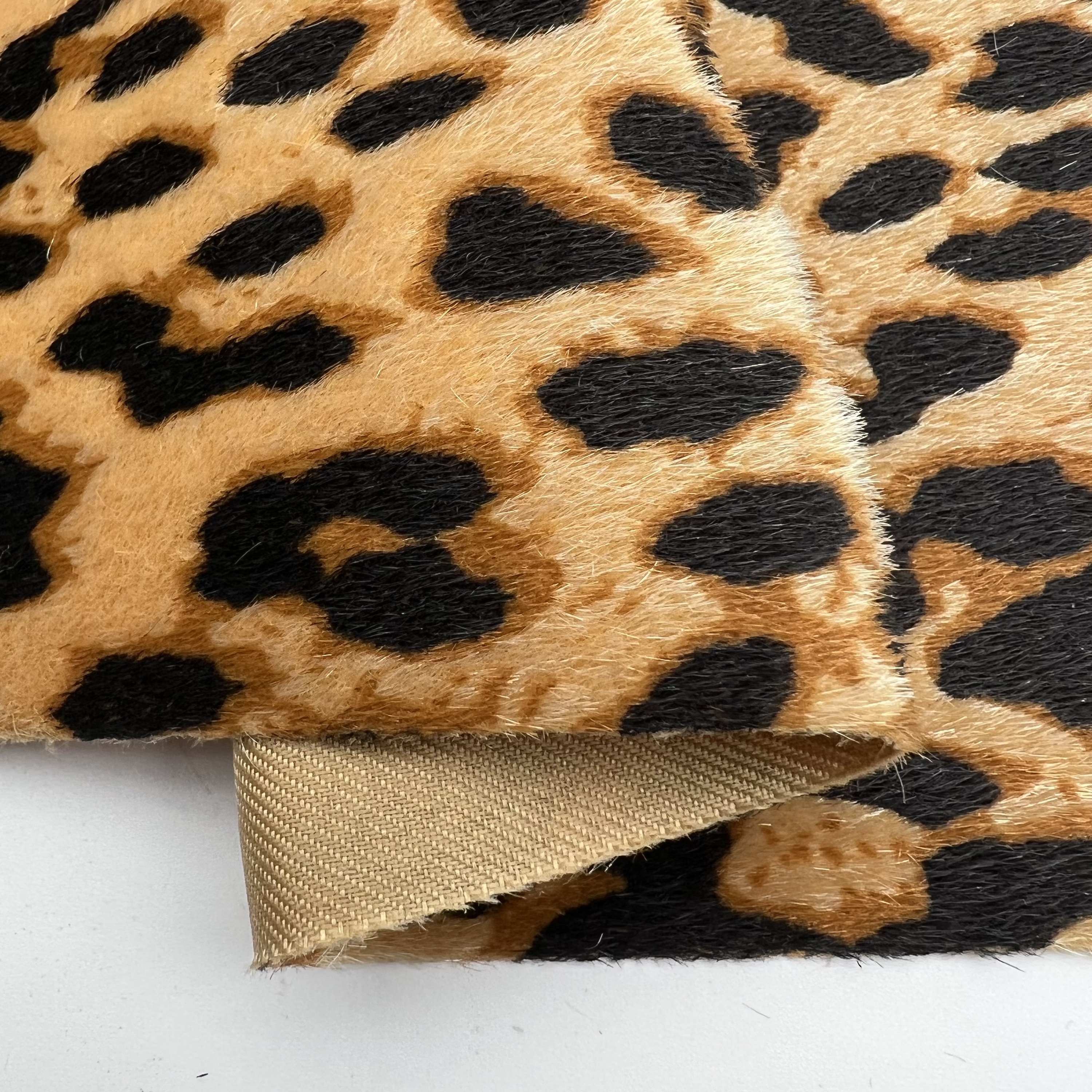 Leopard Big Brown
