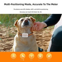 Traceur GPS intelligent BeiDou avec alarme mobile pour animaux de compagnie, localisateur 4G, collier étanche, autonomie de 30 jours pour chiens de taille moyenne à grande, chasse