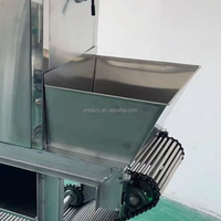 Épluchage électrique d'ampoule d'ail et éplucheur d'oignon machine à éplucher le traitement de la peau d'oignon
