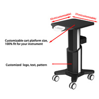 Chariot de soin du visage en métal à 4 roues moderne et robuste 2025, capacité de 50 kg pour l'hôtellerie, les hôpitaux, les salons de beauté dentaires