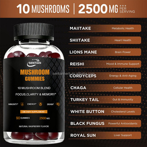 OEM ODM Vegan Cordyceps Reishi leoni criniera Chaga miscela di funghi commestibili Gummies integratore cerebrale - Product Image 3