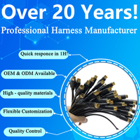 ODM OEM Custom MIDI Din-Anschluss MINI DIN 4 5 6 7 8 9 10 11 12 13-poliges Stecker-Buchse-Kabelbaum-Lautsprecher-Audio kabel