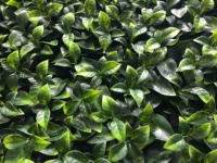 Jardin vertical Laurel Leves, résistant aux UV, mur végétal assemblé, haie artificielle pour jardin, clôture