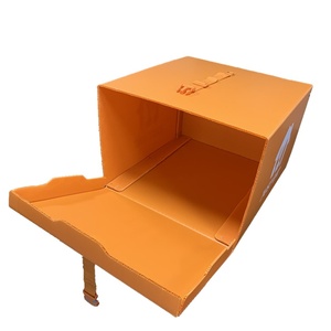 <span class=keywords><strong>Caja</strong></span> <span class=keywords><strong>de</strong></span> Reparto <span class=keywords><strong>de</strong></span> Comida para Motocicleta Correx, Cajas <span class=keywords><strong>de</strong></span> Reparto <span class=keywords><strong>de</strong></span> Pizza <span class=keywords><strong>de</strong></span> Plástico Corrugado para Bicicleta - Product Image 1