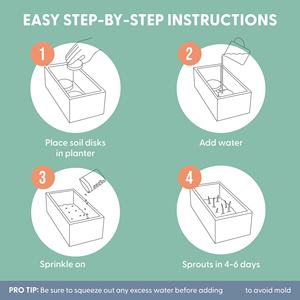 Kit d'<span class=keywords><strong>herbe</strong></span> à <span class=keywords><strong>chat</strong></span> biologique avec jardinière en bois rustique pour la maison, le jardin, l'extérieur, l'intérieur et la pépinière. - Product Image 4