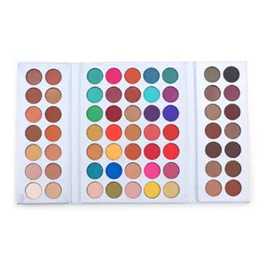 OEM Cosmetic Factory all'ingrosso popolare pigmento di alta qualità 63 colori Silver Palette Private Label Makeup Eyeshadow Palette