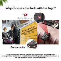 Cadenas à combinaison multicolore compatible TSA avec câble en acier et mot de passe pour casier de gym, modèle 716, origine Chine