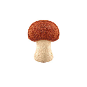 Jouet pour animaux de compagnie en forme de tomate, citron et <span class=keywords><strong>champignon</strong></span>, mignon et grand, pour la <span class=keywords><strong>dentition</strong></span> et le nettoyage, en loofah - Product Image 5