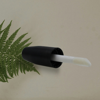 Tube en plastique transparent coloré de 2 ml, petit flacon avec pinceau pour huile à lèvres cosmétique