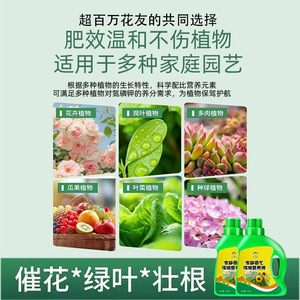 Solution nutritive concentrée pour plantes, engrais liquide de 500ml pour plantes d'intérieur, succulentes, amélioration de la croissance des arbres porte-bonheur - Product Image 5