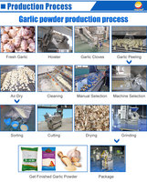 Orme Automatisch Knoflookpoederproces Plant Knoflookschil Procesmachine Knoflookpoeder Productielijn
