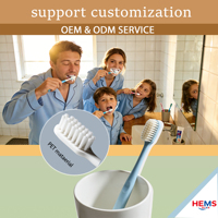 Kit dentaire jetable en gros pour hôtel avec dentifrice, ensemble de brosses à dents de voyage personnalisé en usine, kit d'hygiène pour chambre d'hôtes