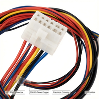 Rakitan Kabel Terminal Blok Pluggable 2 Pin 3 Pin 4 Pin Kustom dari Nylon OEM untuk Industri, Otomotif, dan Peralatan Rumah Tangga