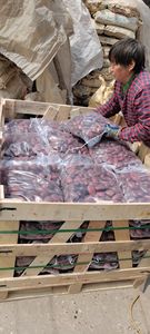 Pierre de <span class=keywords><strong>gravier</strong></span> de galet de pierre rouge polie par haute usine directe avec la pierre de rivière de bon prix - Product Image 6