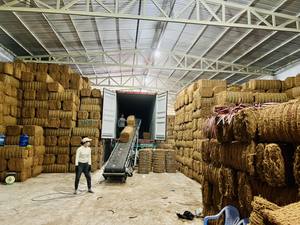 Fibre de coco de haute qualité COIR NET CORDE Fibre naturelle écologique Anti-bactéries Motif teint en brun naturel pour le remplissage - Product Image 4