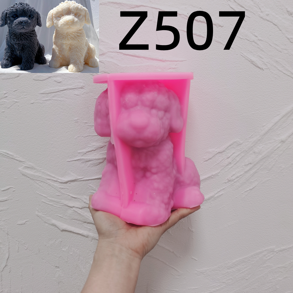 Z507