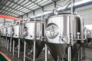 Unitanks Coniques en Acier Inoxydable 200L 500L 1000L 5000L pour Fermentation Artisanale de Bière (FV CCT CKT) – Personnalisables – Ts-100L Cidre - Product Image 5