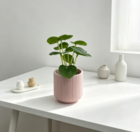Plantes succulentes artificielles en plastique vertes pour la décoration de bureau et de maison, mini 16 cm, écologiques, pour la remise des diplômes