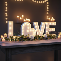 Lettres lumineuses LED personnalisables - Enseignes rétro vintage 3D en acrylique/métal pour taxi, voiture, centre commercial, extérieur, alimentation DC/AC, commande manuelle