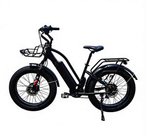 Manufacturer Direct Sales Low-priced Dual 48V 750W Motor Mechanical Disc Adult Fat Tire Unrivaled AWD Performance Dual 750 - Product Image 1