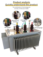Transformateurs de distribution d'énergie triphasés immergés dans l'huile, résistance aux basses températures, 11 kV/33 kV, 300 kVA, 1000 kVA, 10 MVA