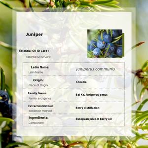 Huile essentielle distillée biologique de haute qualité Aromathérapie Soins de la peau Matière première Vente en gros Parfum sucré 100% Pure Natural Organic - Product Image 3