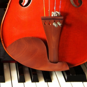 ชุดอุปกรณ์ไวโอลินไม้พุทรา 4/4 จำนวน 1 ชุด ประกอบด้วย ที่พักคาง หมุดยึดสาย ตัวปรับเสียง ตัวล็อคสาย และสายไวโอลิน - Product Image 4