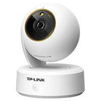 Cámara de Red Inalámbrica PTZ con Intercomunicador a Color TP-LINK TL-IPC45AW, Cámara con Cable a Color