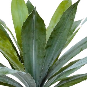 Fabricante Oh Arts, Venta al por Mayor de Plantas Artificiales de <span class=keywords><strong>Agave</strong></span> en Maceta para Decoración del Hogar - Product Image 4