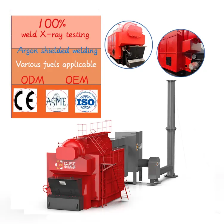 CJSE DZH biomass steam boiler with automatic coal feeding coal fired steam boiler for paper mill