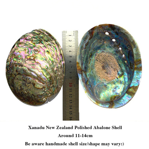 Coquille d'ormeau polie faite à la main brillant 10-14cm Palo Santo/supports de bâtons de tache de <span class=keywords><strong>sauge</strong></span> <span class=keywords><strong>blanche</strong></span> importation de la nouvelle-zélande en gros - Product Image 3