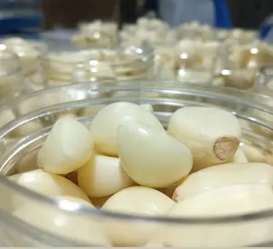 Nhà Máy Trực Tiếp Bán Buôn Nông Nghiệp Hữu Cơ Rau Bóc Vỏ Tỏi Tại Trung Quốc Chất Lượng Cao Bóc Vỏ Tỏi Bán Buôn Xuất Khẩu Nhà Máy - Product Image 4