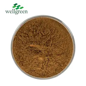 Wellgreen Tribulus Terrestris Extract Saponins 40% 90% Powder