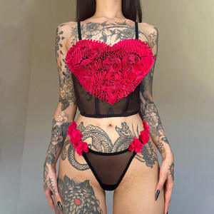 Комплект нижнего белья на День святого Валентина: бюстье с аппликацией в виде сердца и трусики с 3D-цветами, 2 предмета, прозрачное сетчатое белье, сексуальная ночная одежда - Product Image 1