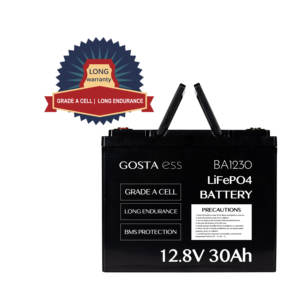 GOSTA BA1230 12V 4or5 Seater Electric EV Golf Buggy Cart Car Power Battery - Product Image 1