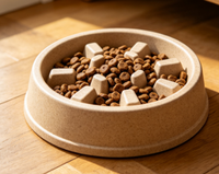 Bol à Manger Lent Non Toxique et Dégradable, Moulé par Injection, avec Base Antidérapante pour Chats d'Intérieur et Chiots