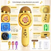 Microphone professionnel omnidirectionnel sans fil pour enfants avec haut-parleur intégré, boîte à jouets portable pour le chant à domicile, idéal comme cadeau