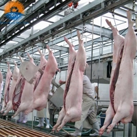 Équipement d'abattage de porcs à haute efficacité pour usine de traitement, machines d'abattoir de porcs, prix usine commercial moderne
