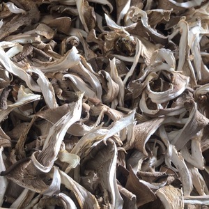 เห็ดนางรมแห้ง Pleurotus eryngii ทั้งเชื้อรากินได้อาหารที่ปลูกสดใหม่ - Product Image 2