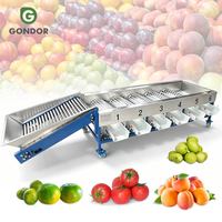 Avocado Aardappel Abrikoos Fruit Ui Citrus Dadel Sorteren Maat Sorteermachine en verpakking van fruit