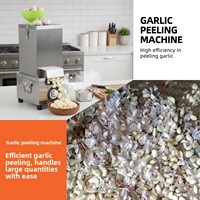 Machine à éplucher l'ail électrique commerciale 200W, 25KG/H, en acier inoxydable, éplucheur d'ail automatique pour usage en restaurant