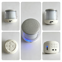 Haut-parleur portable RGB sans fil 5.3 avec mini-haut-parleur de 40 mm, lecteur de carte TF, rechargeable Type-C, étanche IPX2 et télécommande