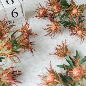 Fleur artificielle Ruilisi en soie rose, cinq branches, style céleri sauvage, pour décoration de mariage, accessoires de photographie et décoration intérieure - Product Image 3