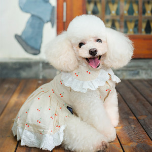 Vestido de Verano para <span class=keywords><strong>Perro</strong></span>, Vestido Tutú para <span class=keywords><strong>Perro</strong></span> Pequeño, Ropa Suave y Elástica para Mascotas, Chihuahua, Bulldog Francés, Corgi, Poodle, <span class=keywords><strong>Shih</strong></span> <span class=keywords><strong>Tzu</strong></span>, <span class=keywords><strong>Cachorro</strong></span> - Product Image 5