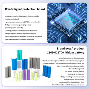 Hailong No. 1 48V Lityum Pil Paketi Yenilenmiş Dağ Bisikleti Araç Tipi 2 Büyük Kapasiteli - Product Image 6