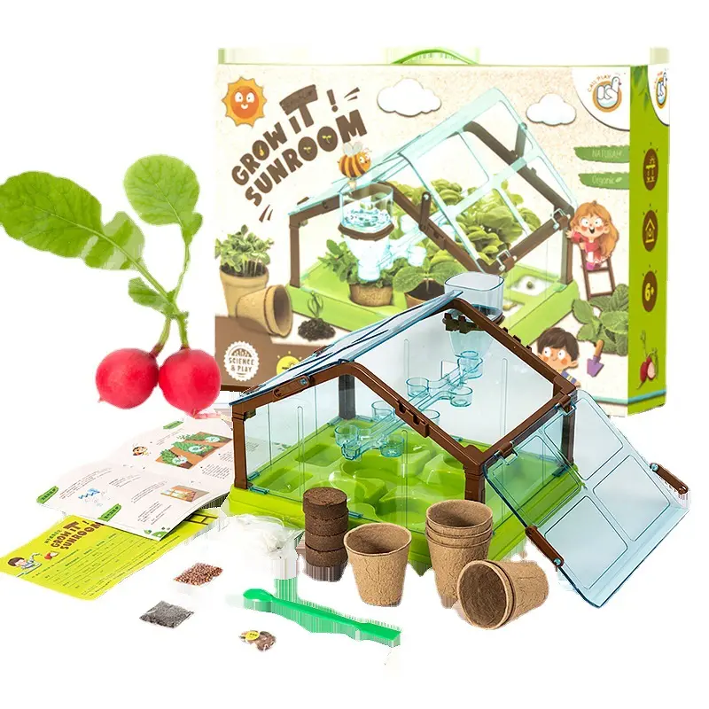 Lazada vendita calda Mini piantagione sun room casa di osservazione delle piante per bambini desktop seed growth record box set toy