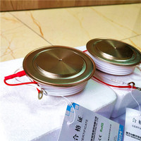 Oferta: Tiristor Triac Serie ZP, ZP300A, Diodo Rectificador, Carcasa de Cerámica Plana, Alta Corriente 2000mA, Montaje Enchufable, China