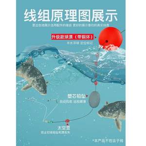 สายเบ็ดตกปลา Bu Yu Zhe แบบเส้นเดี่ยว 100 เมตร สำหรับตกปลาทะเล ตกปลาหิน ตีเหยื่อไกล ชุดอุปกรณ์ตกปลาพร้อมลูกบอลลั่วหยาง - Product Image 2