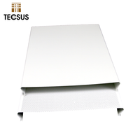Foshan Factory Sistema de techo elástico Tira de metal Techo falso