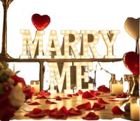 Décoration de mariage : Lettres lumineuses LED 3D « Marry Me » et « Love » de 4 pieds, conformes CE RoHS, alimentées par transformateur, grand format géant